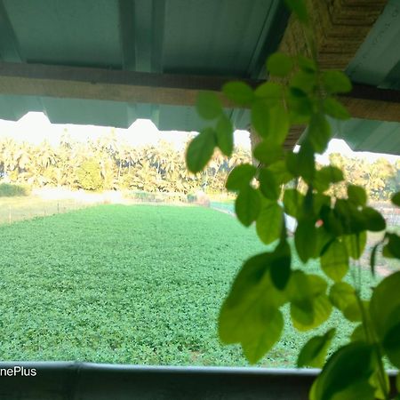 Ocean Sparrow Beach Stay ゴカルナ 部屋 写真