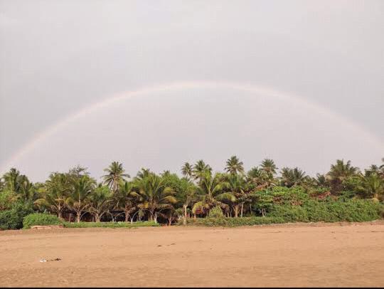 Ocean Sparrow Beach Stay ゴカルナ 部屋 写真